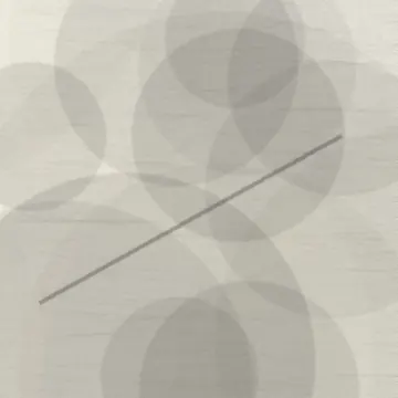 91网公众号二维码